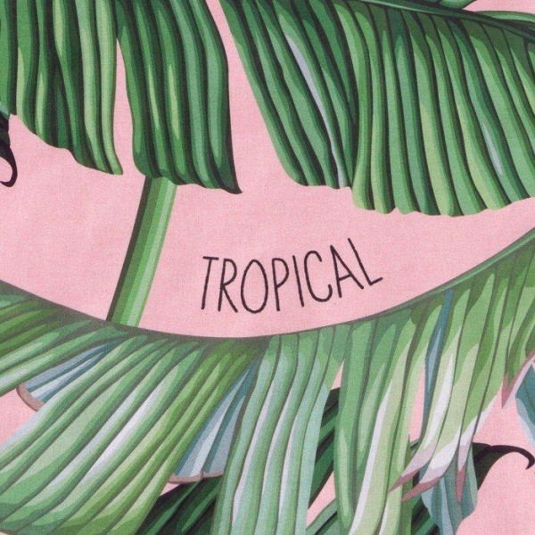 Постельное бельё Этель 2 сп Tropical 175х215 см, 200х220 см, 70х70 см - 2 шт